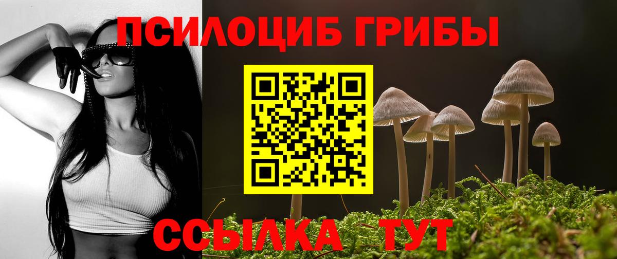 Галлюциногенные грибы MAGIC MUSHROOMS Похвистнево